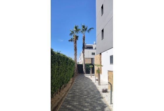 Resale - Apartment / flat - Orihuela Costa - Pau 8