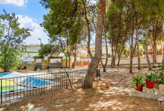 Revente - Villa - Torrevieja - Costa Blanca