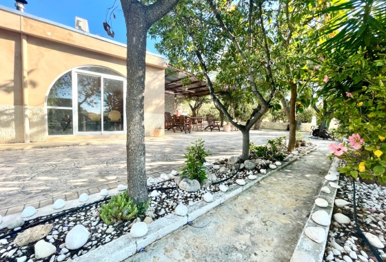Resale - Finca - Crevillente - Inland