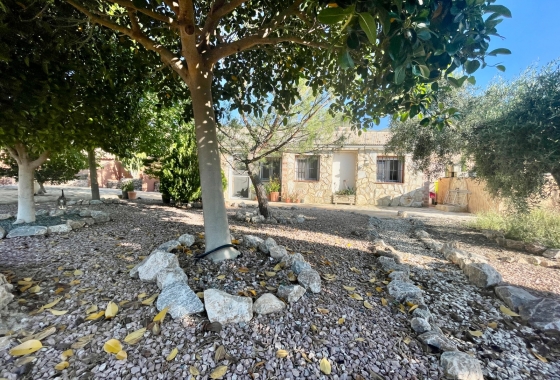 Resale - Finca - Crevillente - Inland