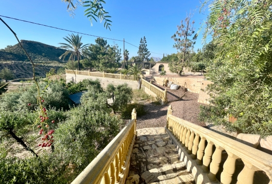 Resale - Finca - Crevillente - Inland