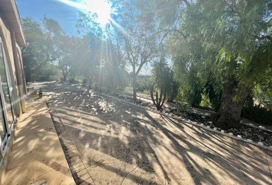 Resale - Finca - Crevillente - Inland