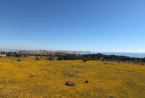 Wiederverkauf - Penthouse - Torrevieja - Punta Prima