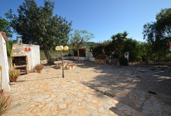 Resale - Finca - Canadas De San Pedro - Inland