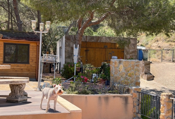 Revente - Finca - Orihuela - Inland