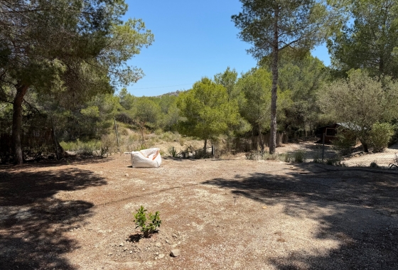 Revente - Finca - Orihuela - Inland