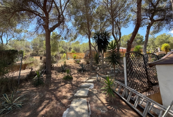 Revente - Finca - Orihuela - Inland