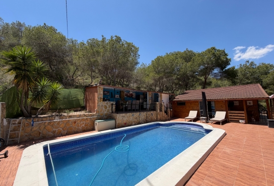 Revente - Finca - Orihuela - Inland