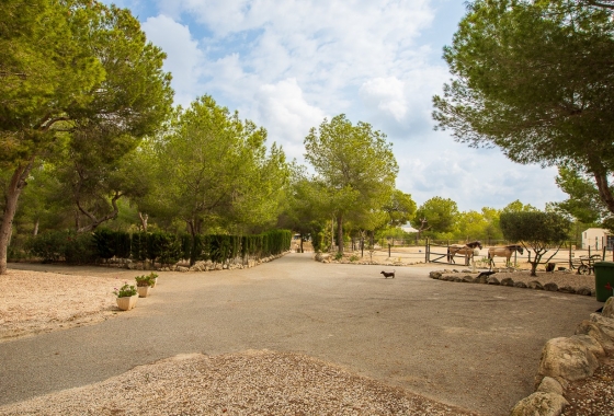 Resale - Finca - Torremendo - Costa Blanca
