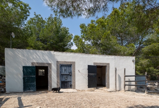 Resale - Finca - Torremendo - Costa Blanca