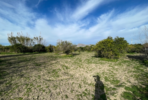 Перепродажа - Вилла - Benejúzar - Inland