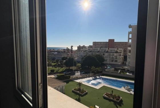 Wiederverkauf - Wohnung - Torrevieja - Costa Blanca
