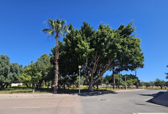 Resale - Villa - Ciudad Quesada - Lo Marabú