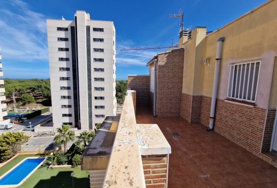 Herverkoop - Appartement / flat - Guardamar del Segura - SUP-7 & Port Area