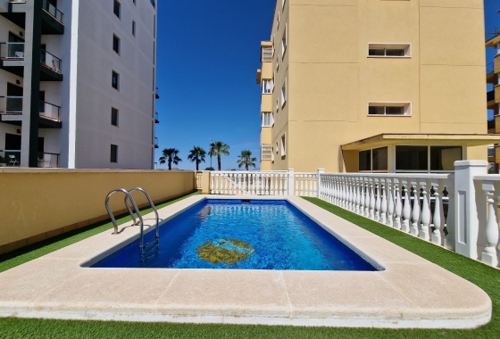 Herverkoop - Appartement / flat - Guardamar del Segura - SUP-7 & Port Area