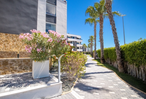 Resale - Apartment / flat - Torrevieja - AMANECER