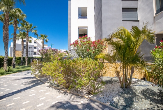 Resale - Apartment / flat - Torrevieja - AMANECER
