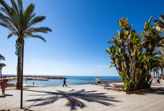 Återförsäljning - Lägenhet / lägenhet - Torrevieja - Playa del Cura