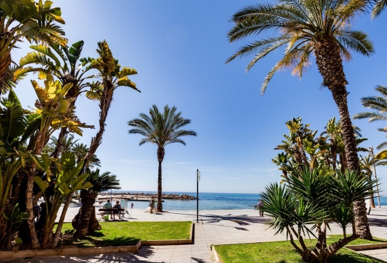 Återförsäljning - Lägenhet / lägenhet - Torrevieja - Playa del Cura