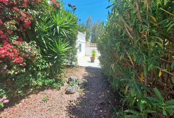 Revente - Villa - San Miguel de Salinas - Inland