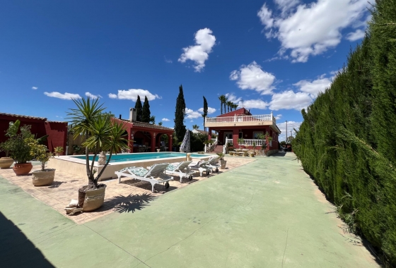 Revente - Finca - Dolores - Comunidad Valenciana