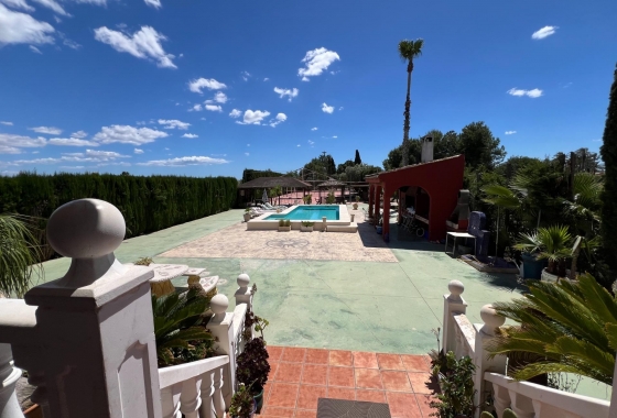 Revente - Finca - Dolores - Comunidad Valenciana