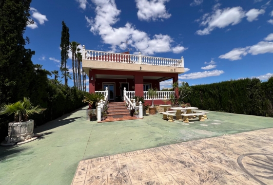 Revente - Finca - Dolores - Comunidad Valenciana