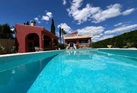 Revente - Finca - Dolores - Comunidad Valenciana