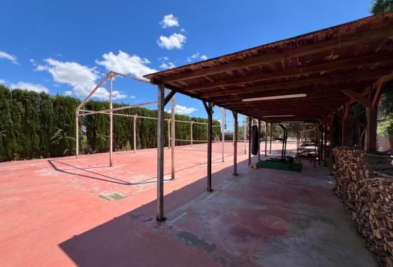 Revente - Finca - Dolores - Comunidad Valenciana