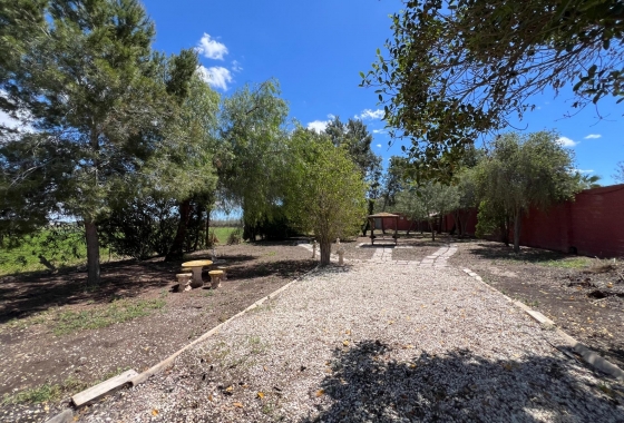 Revente - Finca - Dolores - Comunidad Valenciana