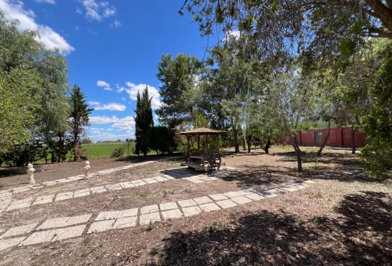 Revente - Finca - Dolores - Comunidad Valenciana