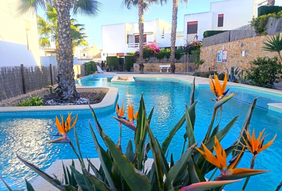 Revente - Appartement - Algorfa - Inland