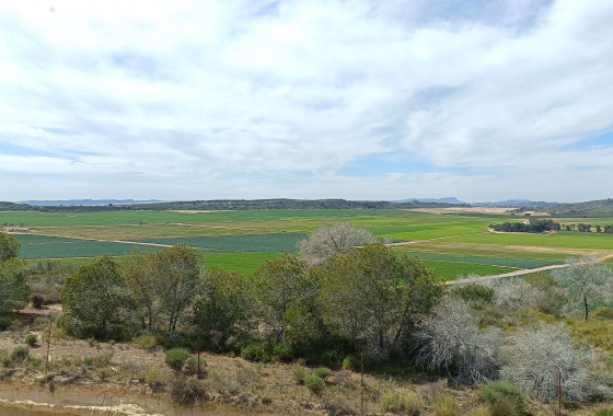 Resale - Villa - Algorfa - Inland