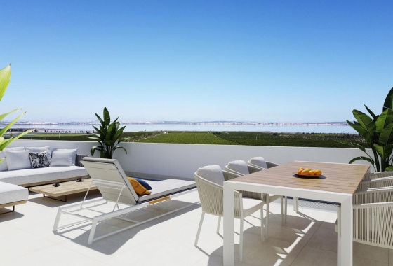 Новостройка - Пентхаус - Torrevieja