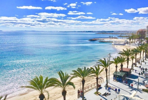 Новостройка - Вилла - Torrevieja - Lago Jardín II