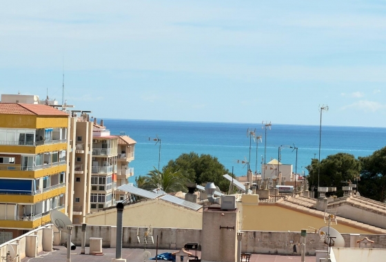 Revente - Appartement - Torrevieja - Punta Prima