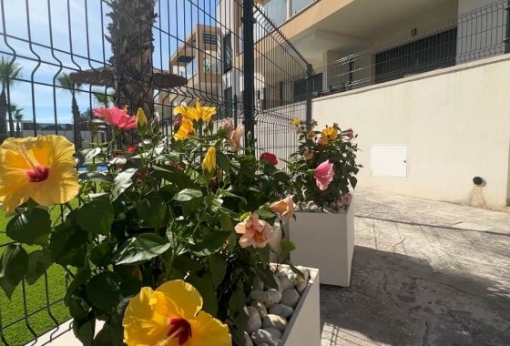 Wiederverkauf - Wohnung - Orihuela Costa - Costa Blanca