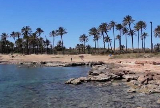Перепродажа - Пентхаус - Torrevieja - La Veleta