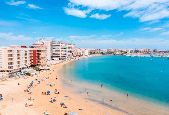 Wiederverkauf - Wohnung - Torrevieja - El Acequión - Los Náufragos