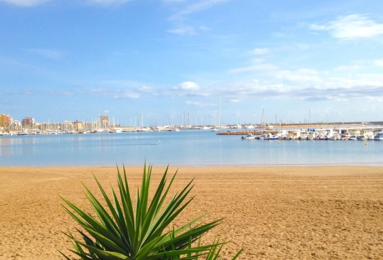 Wiederverkauf - Wohnung - Torrevieja - El Acequión - Los Náufragos