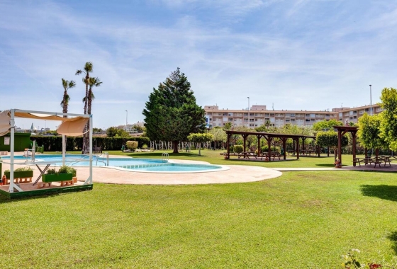 Resale - Bungalow - Torrevieja - PARQUE DE LAS NACIONES