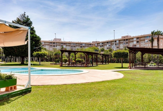Resale - Bungalow - Torrevieja - PARQUE DE LAS NACIONES