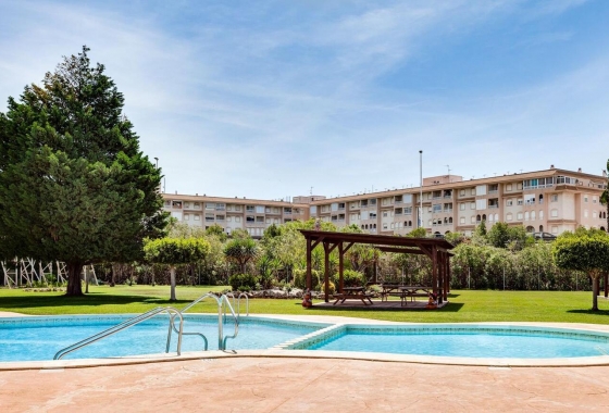 Resale - Bungalow - Torrevieja - PARQUE DE LAS NACIONES