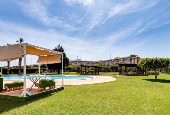 Resale - Bungalow - Torrevieja - PARQUE DE LAS NACIONES
