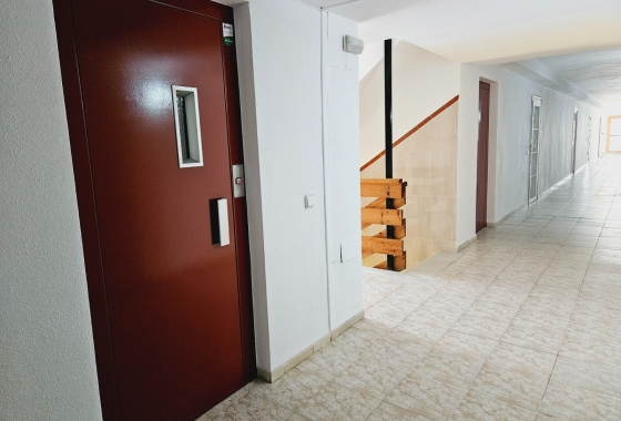 Resale - Studio - Torrevieja - La Mata