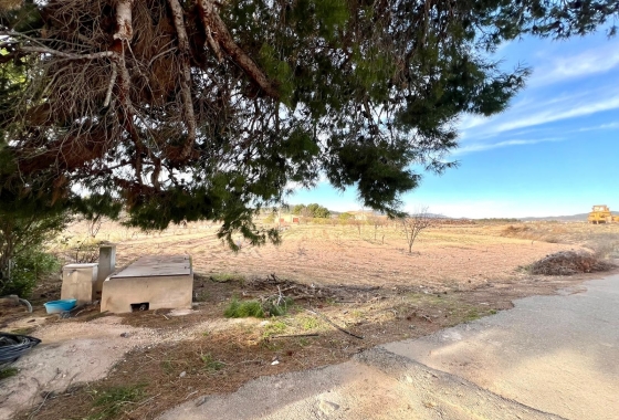 Revente - Finca - Monóvar/Monóver - Inland