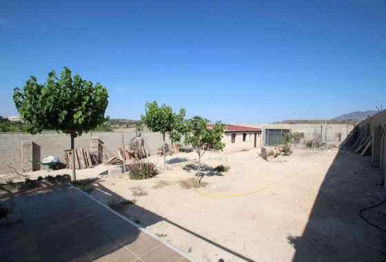 Resale - Finca - Pinoso - Inland