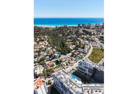New Build - Villa - Orihuela Costa - Dehesa de campoamor