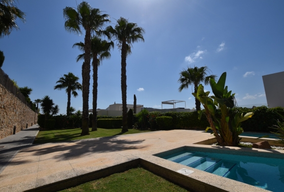 Revente - Appartement - Algorfa - Inland