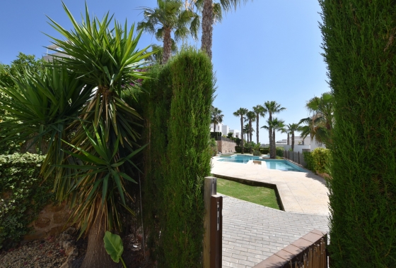 Revente - Appartement - Algorfa - Inland